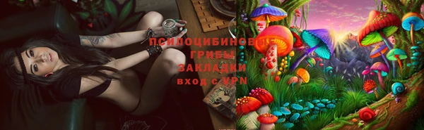 спиды Белоозёрский