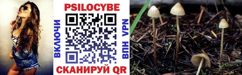 Псилоцибиновые грибы Cubensis  Рудня 